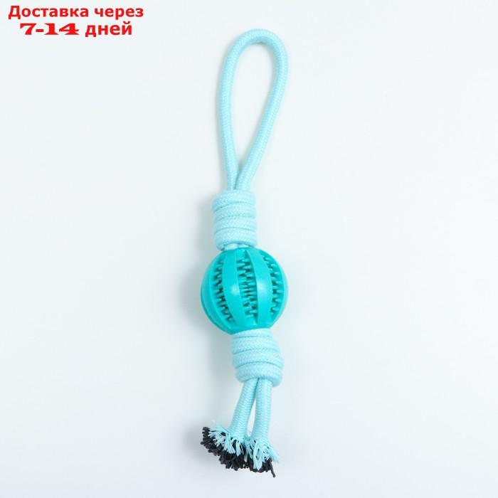 Игрушка канатная плетёная с мячом, до 35 см, до 115 г, мятная - фото 2 - id-p227118070