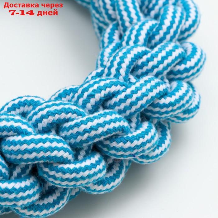 Игрушка канатная "Кольцо", 250 г, до 20 см, голубая/белая - фото 3 - id-p227118072