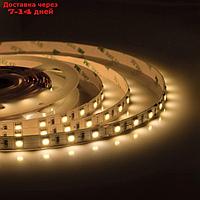 Светодиодная лента Apeyron 24В, SMD5050, 5 м, IP20, 14.4Вт/м, 60 LED/м, 800Лм/м, Т/БЕЛЫЙ