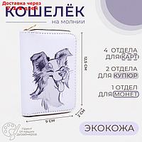 Кошелек дет 07-01-07 Пёсик, 12,5*2*9 см, 3 отд, д/карт, д/монет, молния металл, белый