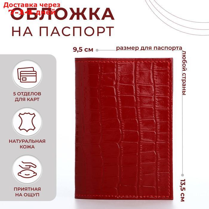 Обложка для паспорта, 5 карманов для карт, крокодил, цвет красный - фото 1 - id-p226982731