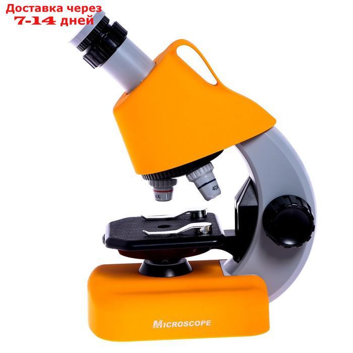 Микроскоп детский "Юный ученый" кратность х100, х400, х1200, подсветка, желтый - фото 4 - id-p227105390