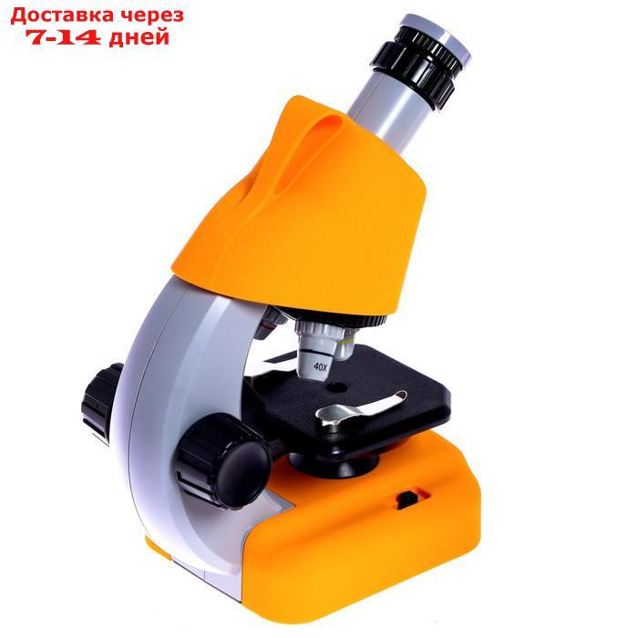 Микроскоп детский "Юный ученый" кратность х100, х400, х1200, подсветка, желтый - фото 5 - id-p227105390
