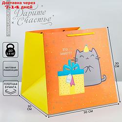 Пакет квадратный "Котик и тортик", 30 × 30 × 30 см
