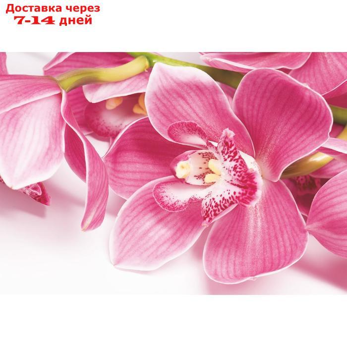 Фотообои "Орхидея" (4 листа)  200*140 см
