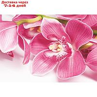 Фотообои "Орхидея" (4 листа) 200*140 см