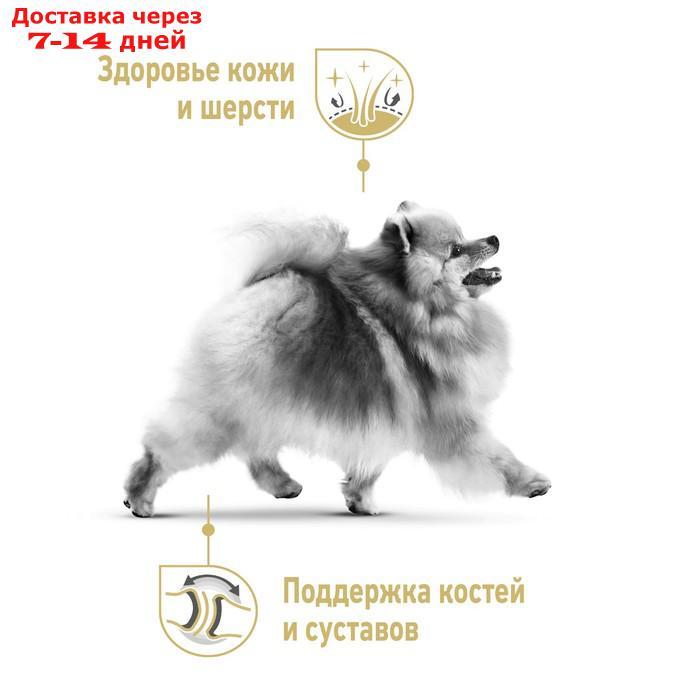 Сухой корм RC Pomeranian для померанского шпица, 1,5 кг - фото 4 - id-p227100078