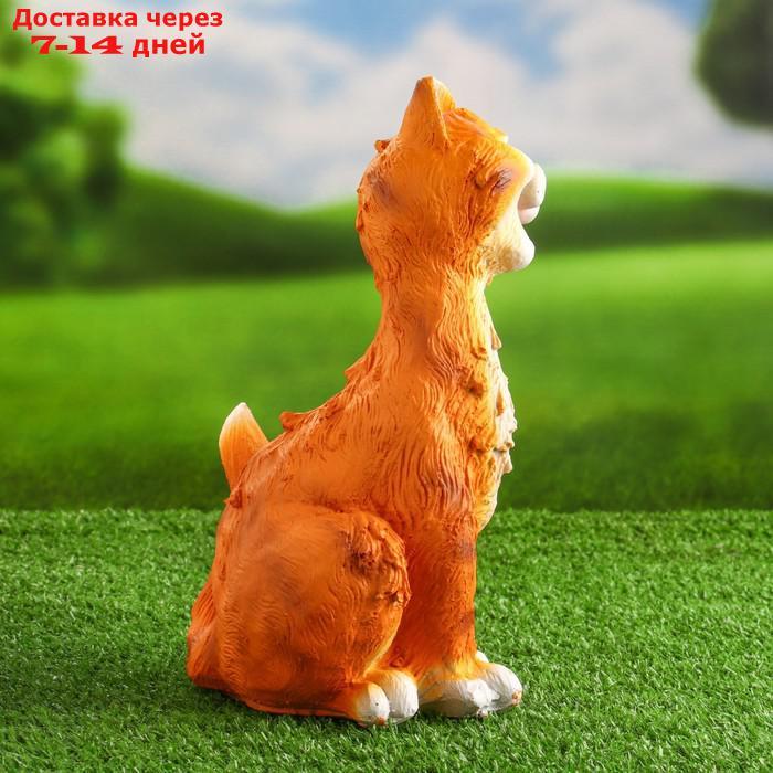 Садовая фигура "Забавный рыжий кот" 11х14х25см - фото 3 - id-p227098422