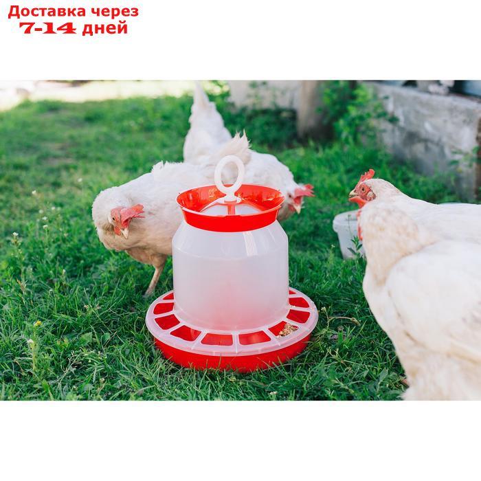 Кормушка бункерная для домашней птицы на 5 кг, цвет МИКС - фото 2 - id-p227095130
