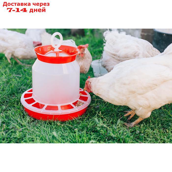 Кормушка бункерная для домашней птицы на 5 кг, цвет МИКС - фото 8 - id-p227095130