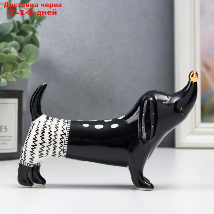 Сувенир керамика "Такса в шортах" чёрный 9,3х5,3х13,7 см - фото 1 - id-p227103768