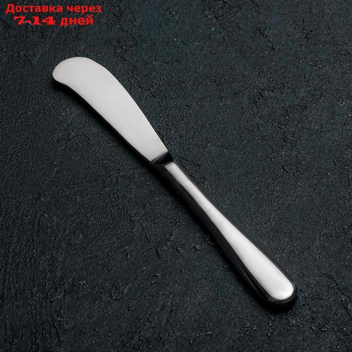 Нож для масла Wilmax Stella, h=17 см - фото 2 - id-p227016248