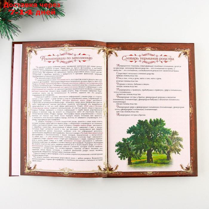 Подарочный набор родословная книга в шкатулке "Сказочного нового года", 26 см × 27 см × 8 см - фото 10 - id-p227105571