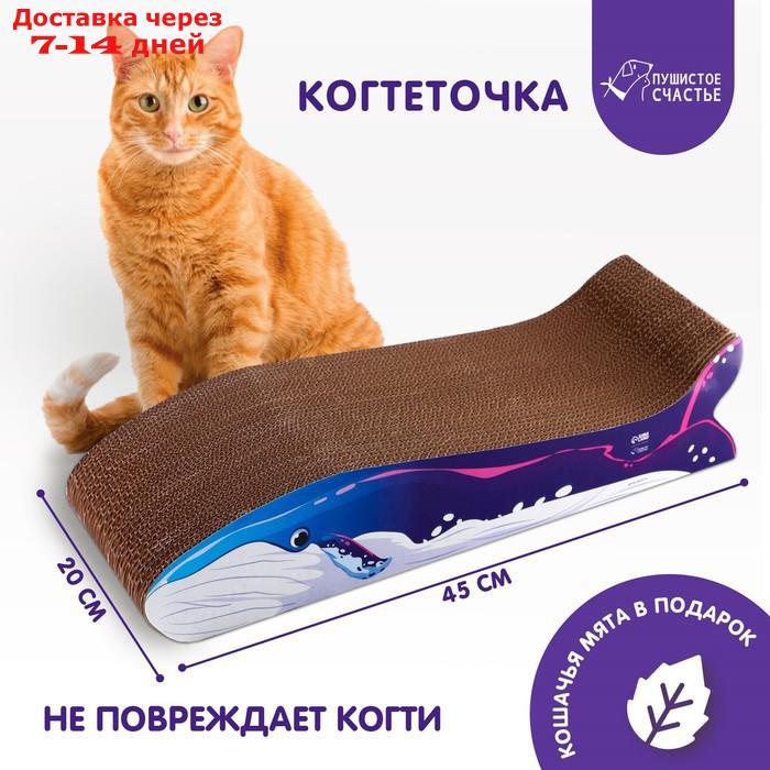 Когтеточка из картона с кошачьей мятой "Кит" - фото 1 - id-p227125121