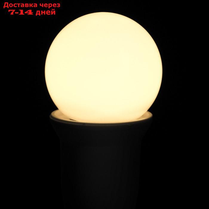Лампа светодиодная Luazon Lighting, G45, Е27, 1.5 Вт, для белт-лайта, т-белая наб 20 шт - фото 4 - id-p227115896