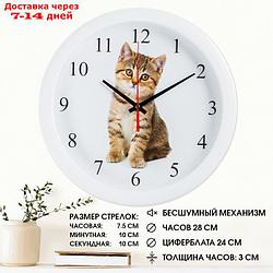 Часы настенные, серия: Животный мир, "Котенок", плавный ход, d=28 см