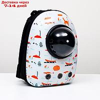 Рюкзак для переноски животных с окном для обзора "Хочу на море!", 32 х 25 х 42 см