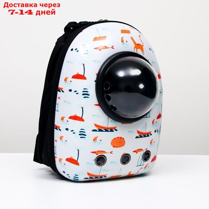 Рюкзак для переноски животных с окном для обзора "Хочу на море!", 32 х 25 х 42 см - фото 1 - id-p227105630