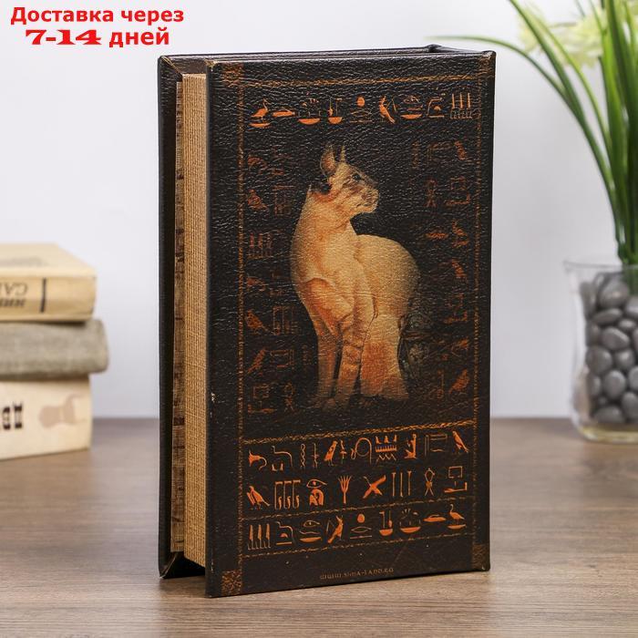 Сейф-книга "Нефертити" - фото 5 - id-p227096908
