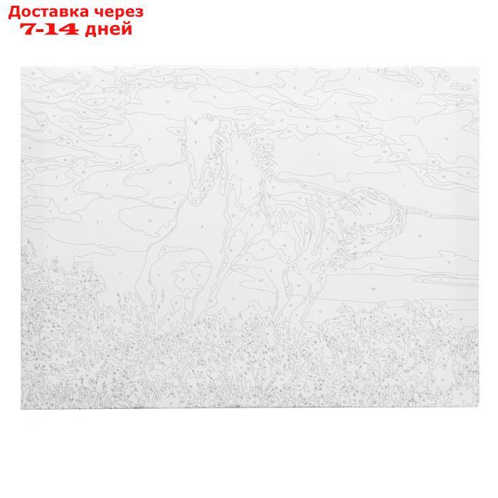 Картина по номерам на холсте "Грациозный бег коня", 40х30 см - фото 3 - id-p227120706