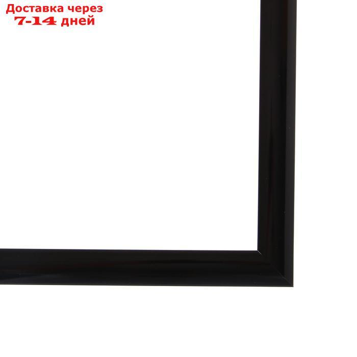 Рама для картин (зеркал) 30 х 40 х 2.7 см, пластиковая, Calligrata, цвет чёрный - фото 4 - id-p226969855