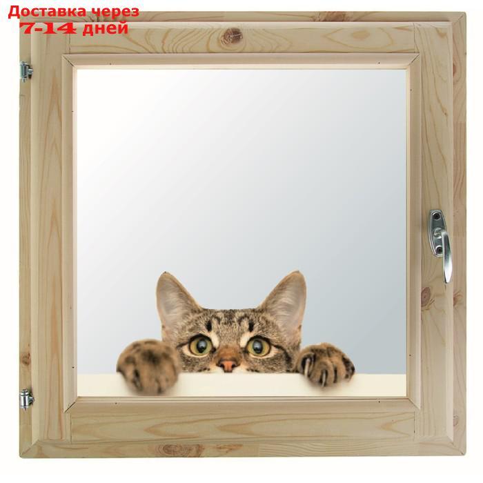 Окно, 50×60см, "Кошак", однокамерный стеклопакет, с уплотнителем - фото 2 - id-p227095270