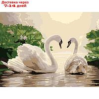 Картина по номерам на холсте "Лебеди на тихом пруду", 40х30 см