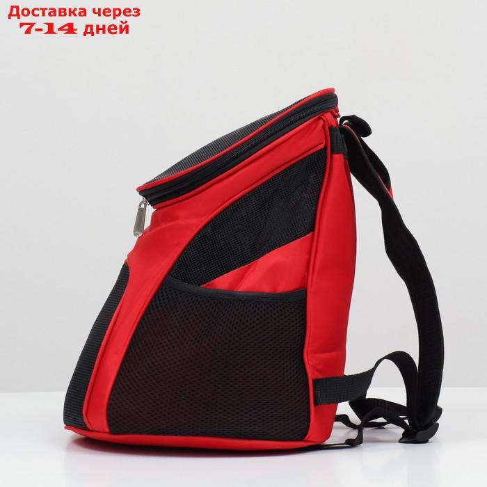 Рюкзак для переноски животных, 31,5 х 25 х 33 см, красный - фото 3 - id-p227130209