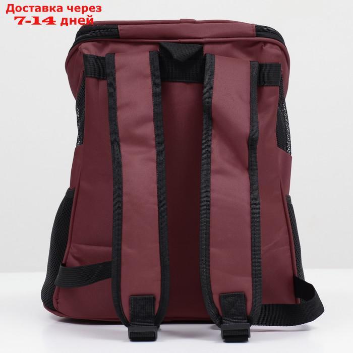 Рюкзак для переноски животных, 31,5 х 25 х 33 см, коричневый - фото 4 - id-p227130211