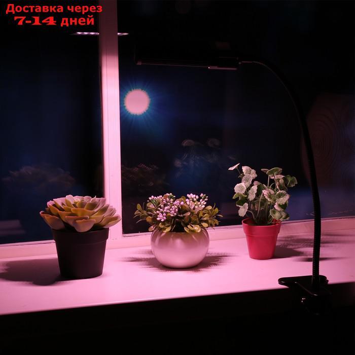 Фитосветильник светодиодный Uniel, 12 Вт, на прищепке, для фотосинтеза, IP40 - фото 2 - id-p227123165