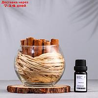 Набор ароматический: ваза-саше с корицей, ароматическое масло "Океанский бриз", 10 мл 79992