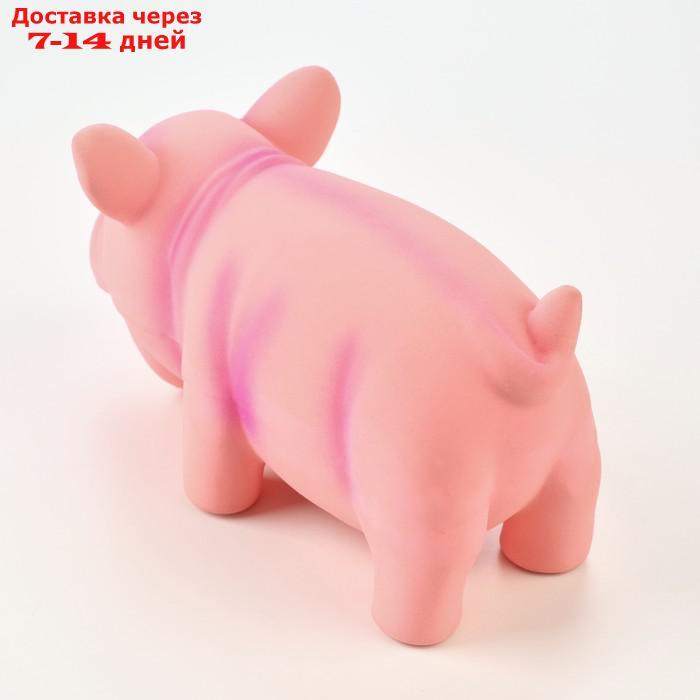 Игрушка хрюкающая для собак из латекса "Хрюшка", 16 см, розовая - фото 3 - id-p227122039