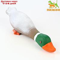 Игрушка пищащая для собак из латекса "Селезень", 31 см