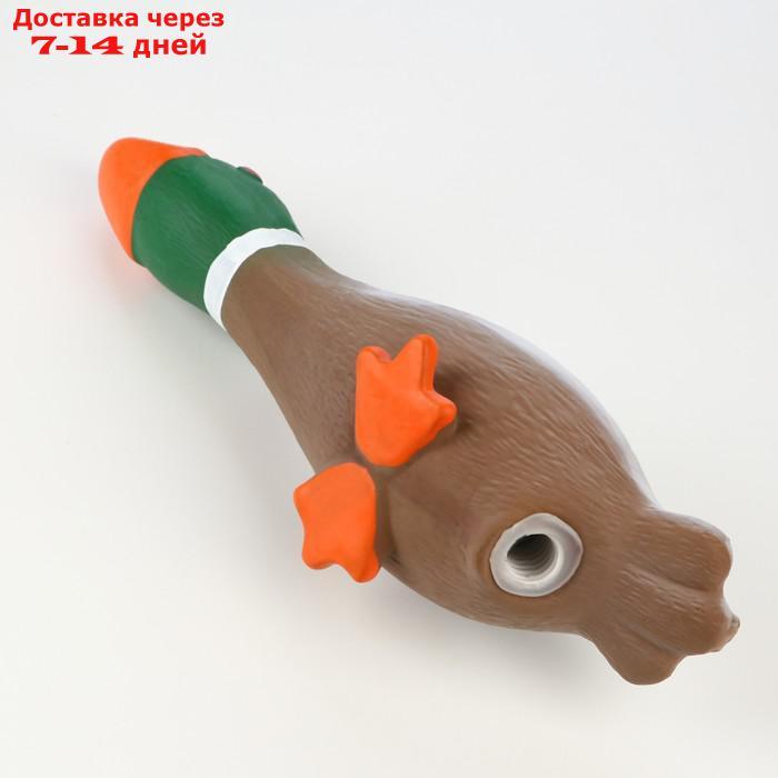 Игрушка пищащая для собак из латекса "Селезень", 31 см - фото 5 - id-p227122040