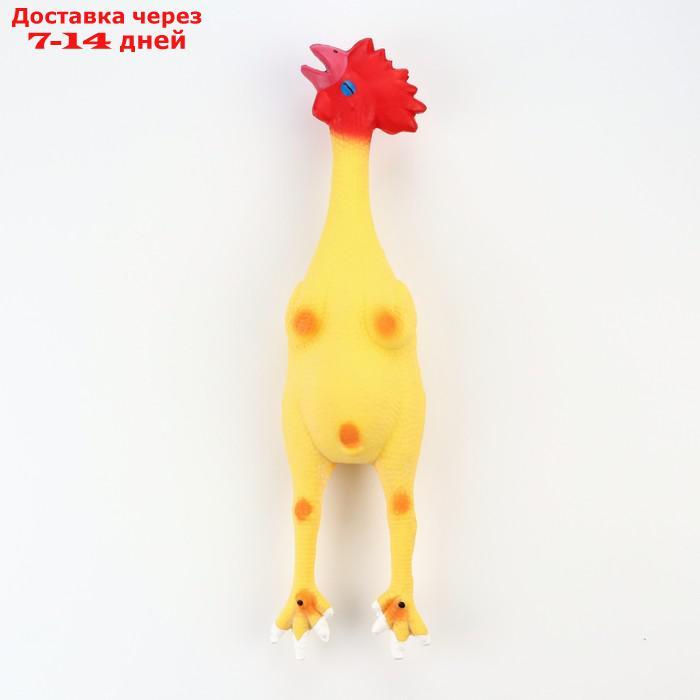 Игрушка пищащая для собак из латекса "Петух", 41 см, светло-жёлтая/красная - фото 2 - id-p227122099