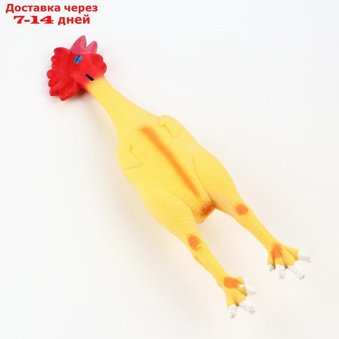 Игрушка пищащая для собак из латекса "Петух", 41 см, светло-жёлтая/красная - фото 3 - id-p227122099
