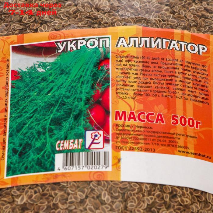 Семена Укроп "Аллигатор", 500 г - фото 2 - id-p227127291