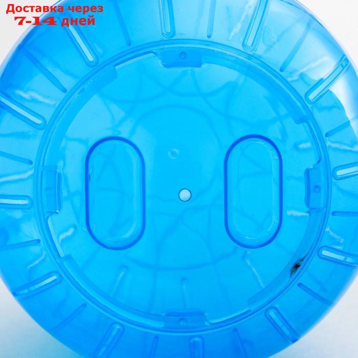 Шар для грызунов Carno, 14,5 см, синий - фото 4 - id-p227122113