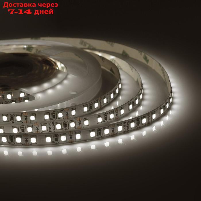 Светодиодная лента Apeyron 12В, SMD3528, 9.6Вт/м, 120 LED/м, 600Лм/м,Т/БЕЛЫЙ - фото 1 - id-p227102214
