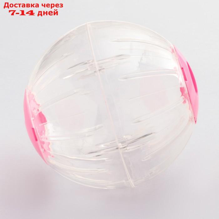 Шар для грызунов Carno, 18,5 см, розовый - фото 2 - id-p227122114
