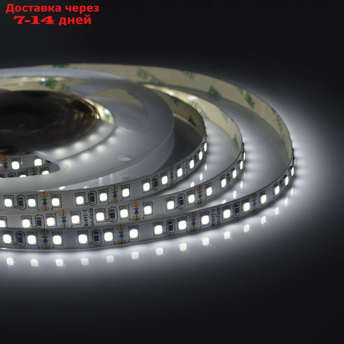 Светодиодная лента Apeyron 12В, SMD3528, 5 м, IP20, 9.6Вт/м, 120 LED/м, 600Лм/м, БЕЛЫЙ - фото 1 - id-p227102215