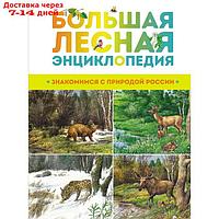 Большая лесная энциклопедия. Знакомимся с природой России. Тихонов А.