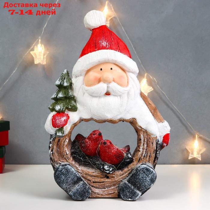 Сувенир керамика свет "Дед Мороз с ёлкой и птицами в гнезде, срез дерева" 39х26,5х10,5 см - фото 4 - id-p227117217