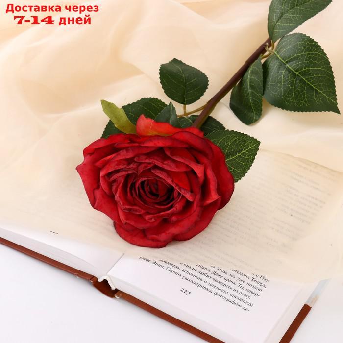 Цветы искусственные "Роза эстетик" 10х49 см, красный - фото 1 - id-p227125260