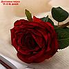 Цветы искусственные "Роза эстетик" 10х49 см, красный, фото 2