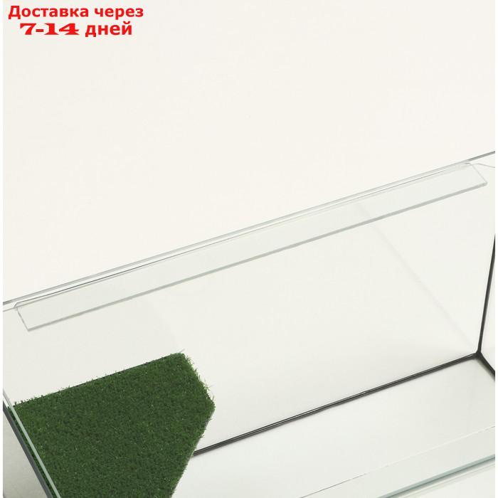 Террариум с покровным стеклом и мостиком 50 литров, 55х33х29 см - фото 5 - id-p227118422