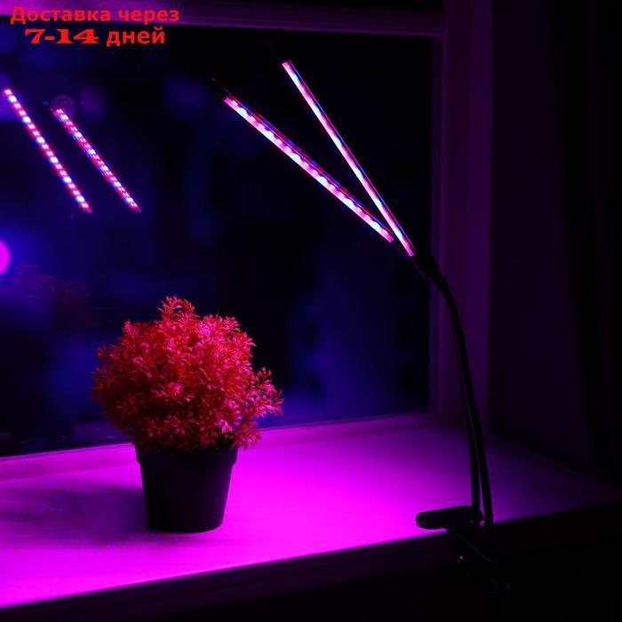 Светильник для растений с таймером, 2*9 Вт, 5 В, USB, красный + синий - фото 1 - id-p227105850