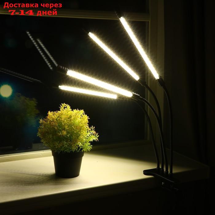 Светильник для растений с таймером, 4*9 Вт, 5 В, USB, тепло-белый - фото 1 - id-p227105853