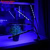 Светильник для растений с таймером, 4*9 Вт, 5 В, USB, красный + синий, фото 2