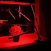 Светильник для растений с таймером, 4*9 Вт, 5 В, USB, красный + синий, фото 3